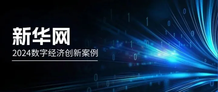 载誉而归！CoGoLinks结行国际服务贸易出海收款方案获评新华网“2024数字经济创新案例”