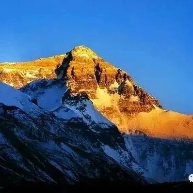 知识星球今日分享行业报告51篇