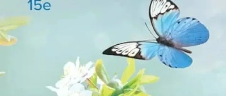 Experience Human Development <em>15E</em> By Diane E. Papalia