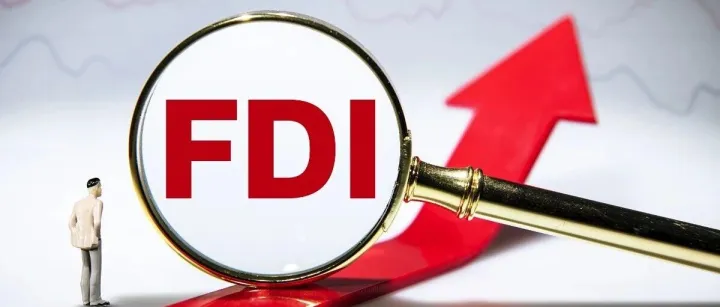 跨境投资必读：FDI申请材料与实操步骤全指南