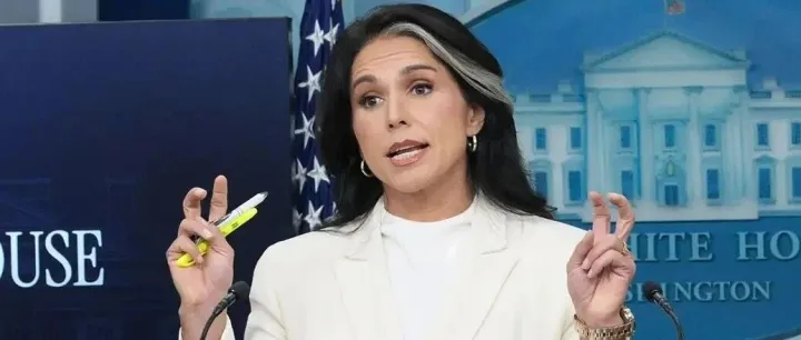 英国RUSI智库：美国情报界的战争