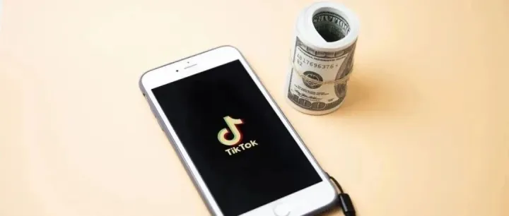 跨境电商TikTok高利润选品清单（附货源）