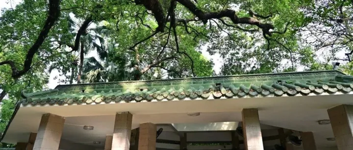 eBay平台中小卖家店铺收入揭秘——月入6000的国内eBay店铺什么样？多久可以做起来？