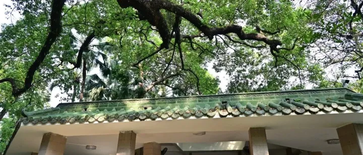 eBay新手成长日记 02：如何注册店铺