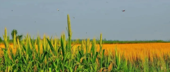 #541  跨境电商长期主义的误区