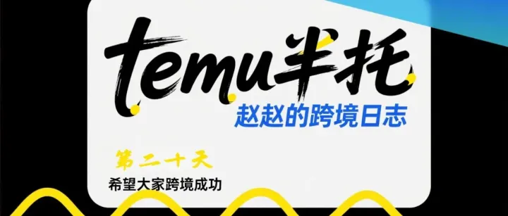 第二十天【temu半托日志】新手选不对品，不赚反亏！避开坑点选对品，利润才有保障。