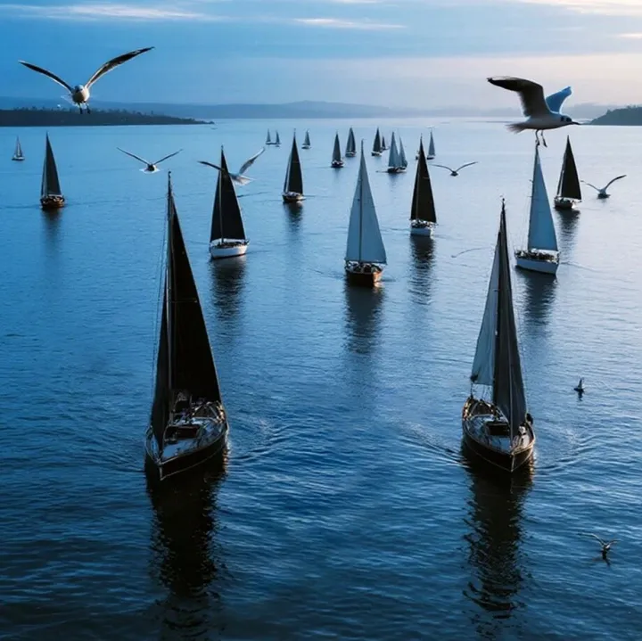 2025年中国公平竞争政策宣传周