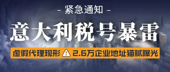 意大利跨境电商税案大爆！2.6 万境外企业栽在 “虚假代理”，地址滥用成致命漏洞