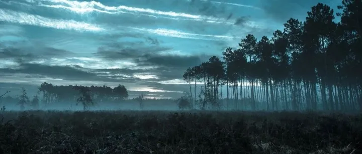 止盈清仓2个，新开仓1个