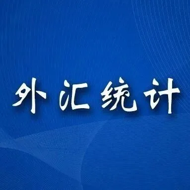 国家外汇管理局公布2025年1月银行结售汇和银行代客涉外收付款数据