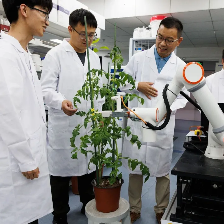 <em>AI-powered</em> Crop-breeding Robot