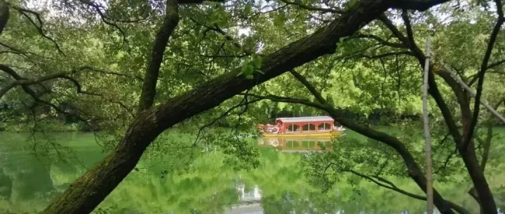 How to Increase Monthly Fapiao Limited Amount