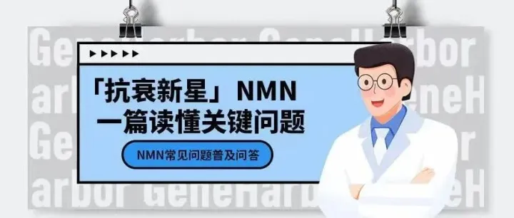 抗衰新星NMN|常见问题普及问答