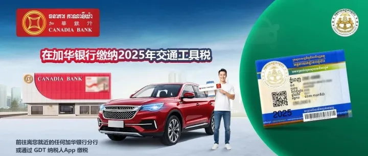 缴纳2025年交通工具税