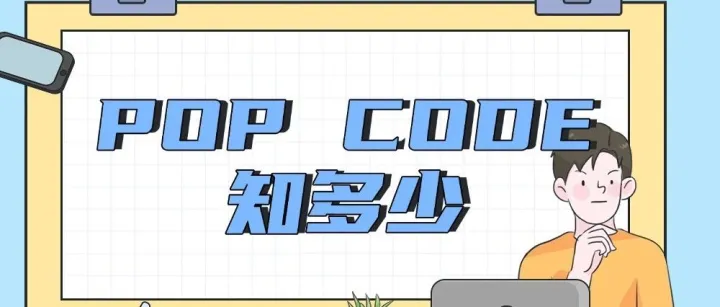 跨境汇款小知识④：POP CODE知多少？