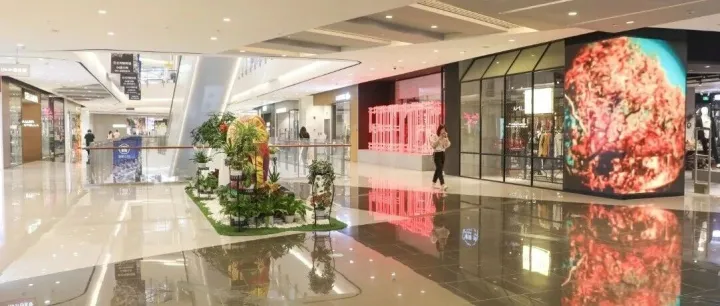 专柜太贵？代购翻车？税免教你免税价拿下真大牌！