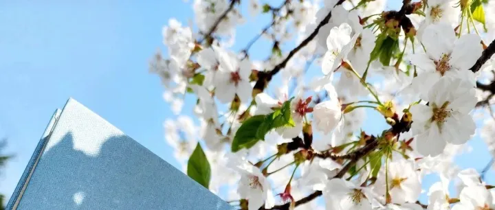 U.S. CIVIL PROCEDURE|Removal/ forum-defendant rule案件移送