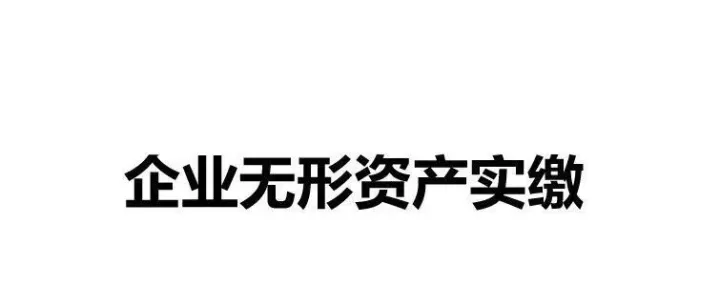 【实缴】《企业无形资产实缴》（2025）