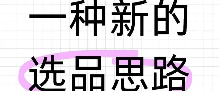 电商跨境选品思路，新手必备