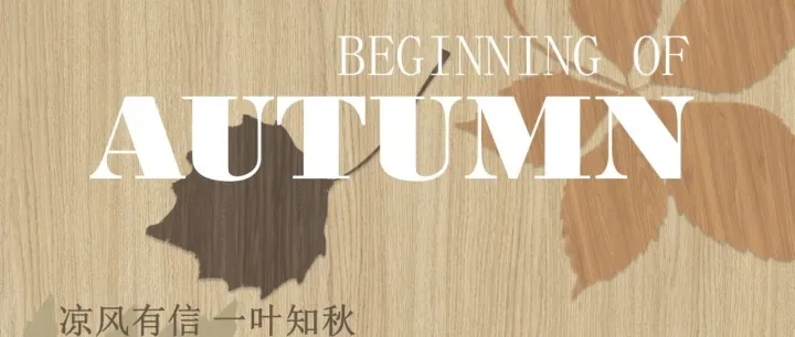 LamiGraf —— 立秋，至