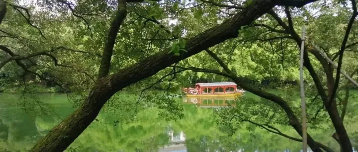 一张采购发票的警示：筑牢企业风险防范的日常堤坝