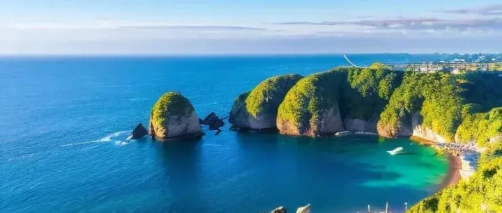 以澳大利亚 Commissioner of <em>Taxation</em> v Bamford 案为例