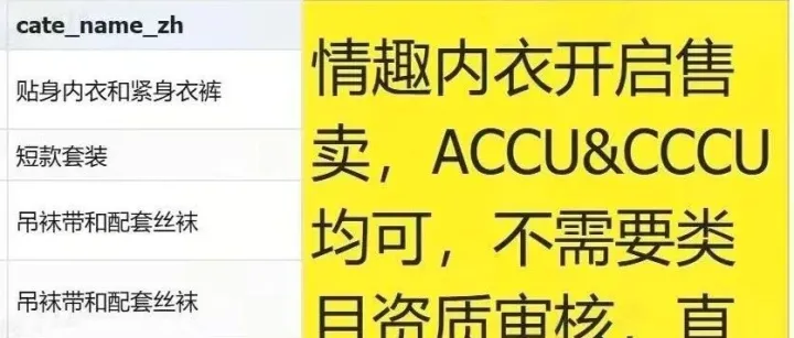 急急急报！TikTok情趣内衣禁售解除！一大波商家正在急速抢占市场！