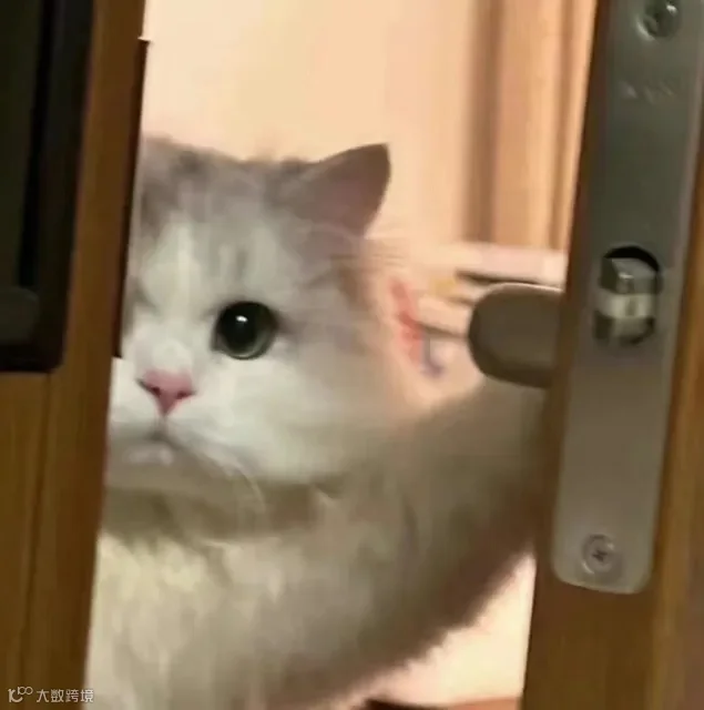 “敲门”用英语怎么说？可不是“knock the door”哦！- 大数跨境