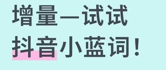 抖音小蓝词 × 品牌 SEO 实战指南：从流量突围到生意增长的全链路打法