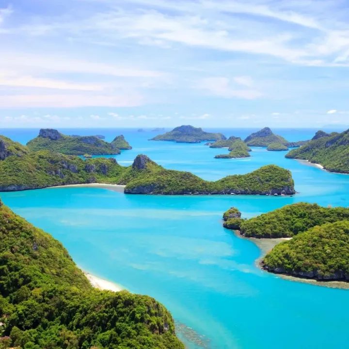 震撼价！明星都抢着买的“黄金岛”海景地，仅剩最后14莱！你还等什么？