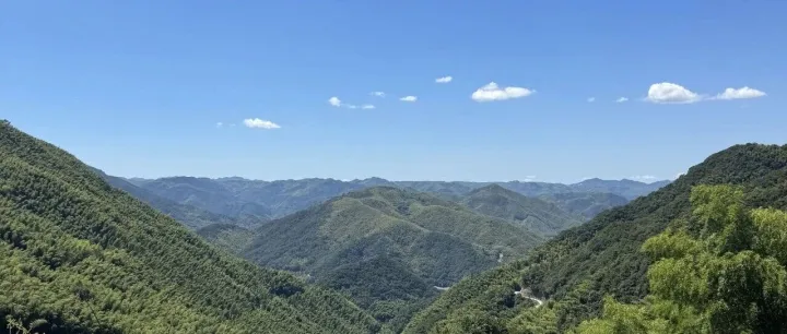 招募外贸/运营负责人、合作工厂（若干）