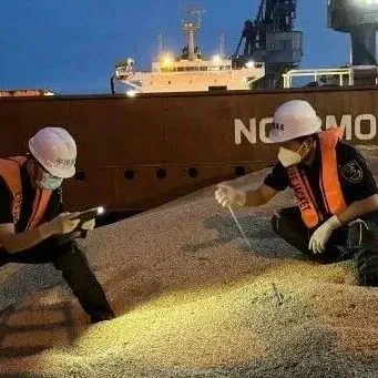【动植物检疫】进境粮食后续监管工作须知及要点提醒