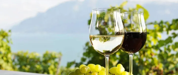 DACHSER 在亚太地区拓展葡萄酒与烈酒物流服务