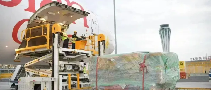 CX欧洲直飞/卡车，收大泡货