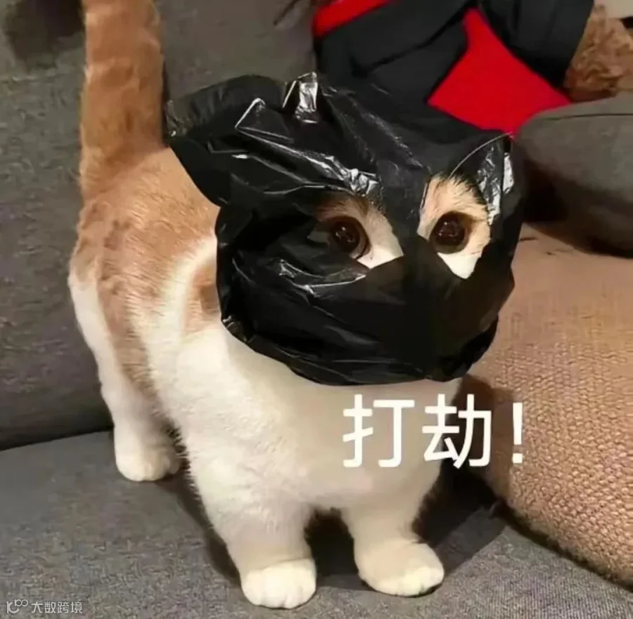 “敲门”用英语怎么说？可不是“knock the door”哦！- 大数跨境