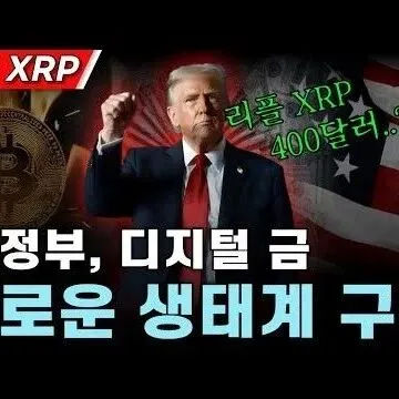 미 정부 <em>디</em>지털 금으<em>로</em> 새<em>로</em>운 생태계를 구축하다