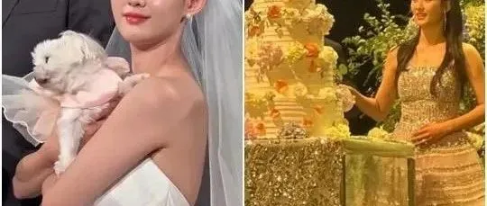 남보라, 디즈니 공<em>주</em> 웨<em>딩</em>드<em>레</em>스 공개‥2부 드<em>레</em>스도 ‘갓벽’