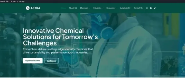 AI+WordPress，1天打造高转化外贸网站！零代码！