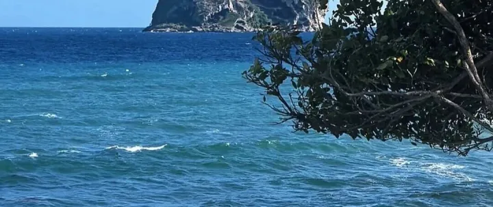 马提尼克空运派送双清到门货代, 可接货物类型多/DAP/DDU/DDP door to door to Martinique