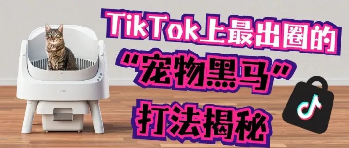 深圳2个女生卖猫砂盆，狂卷2亿美金：TikTok上最出圈的“宠物黑马”打法揭秘