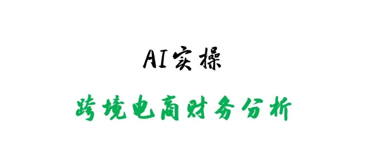 AI实操：跨境电商财务分析