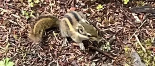 今日浅谈 敦煌网DHgate 相关信息