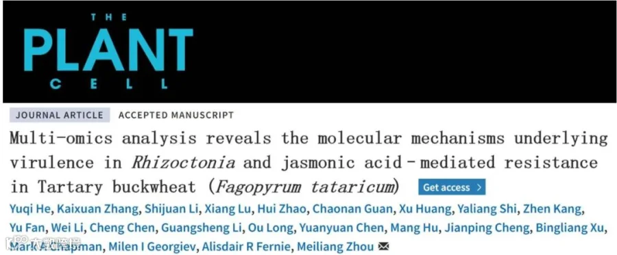 【Plant Cell】 突破!中国农科院周美亮解析荞麦黄酮类物质介导荞麦-立枯丝核菌互作的分子机制上取得重要进展- 大数跨境