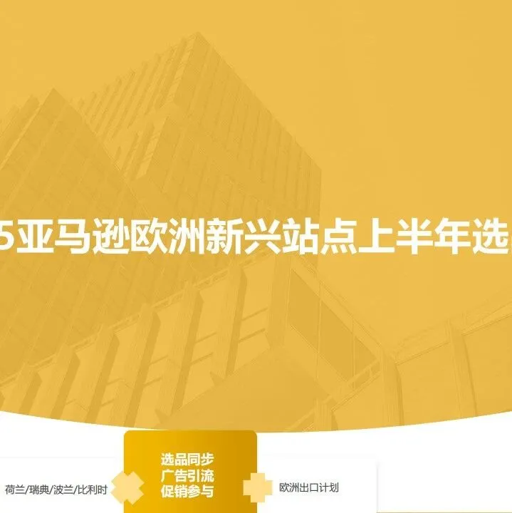 2025年亚马逊欧洲新兴站点上半年选品宝典 （附下载）