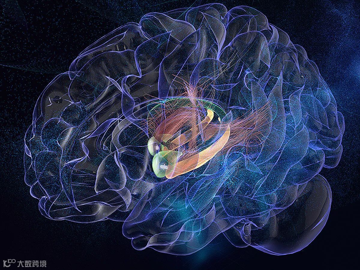 拯救失忆！研究人员在人类大脑里放入电极... | 潮科技- 大数跨境, image size:1200x900