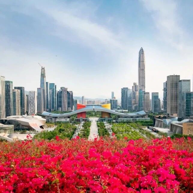 Business environment optimization gets boost 以高质量立法推进营商环境持续优化- 大数跨境