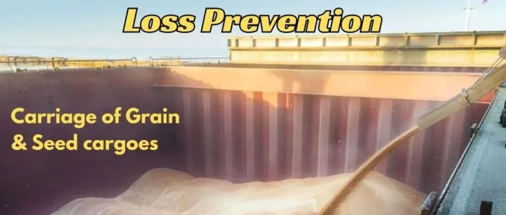 【中远保险经纪】谷物与种子类货物运输防损指南