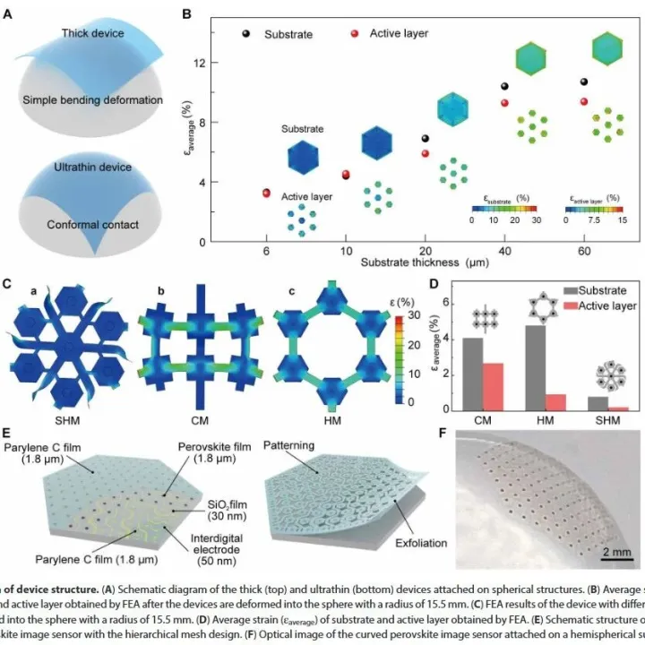 最新Sci. Adv.：仿生视觉突破！超薄钙钛矿曲面图像传感器实现实时调焦成像