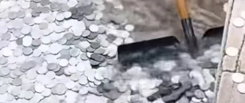 Safari park donates wish-making <em>coins</em> to save girl's life