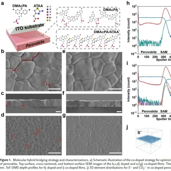 最新AM：26.64%效率+1000小时98.5%稳定性！高效稳定的无预沉积空穴传输层倒置钙钛矿太阳能电池